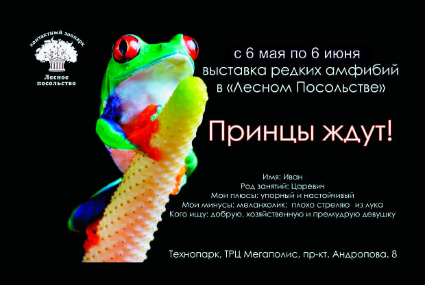 ?Заколдованные принцы: выставка амфибий в Москве - слайд 1