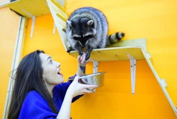 В Москве открывается новый контактный зоопарк  - слайд 1