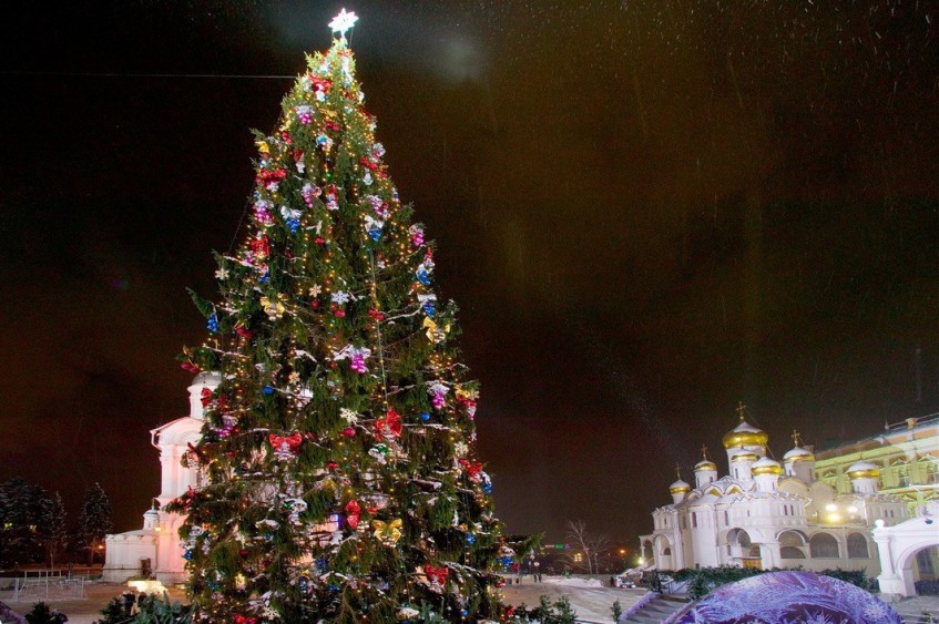 Главную новогоднюю ель привезут в Кремль 17 декабря