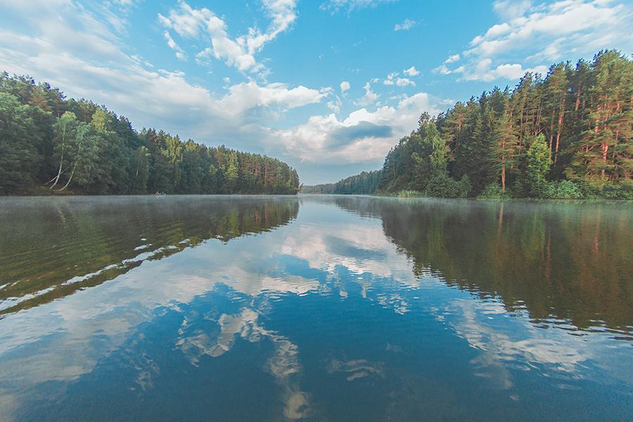 Куда отправиться на природу в Подмосковье: 5 мест с чистой природой вокруг Москвы