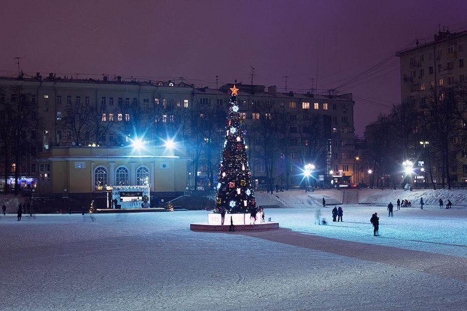 Где погулять в Москве зимой: 33 места для пешей прогулки